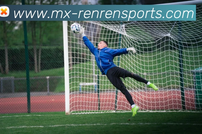 人人体育公司平台生态图